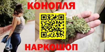 крисы Ставрополь