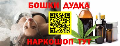 крисы Ставрополь