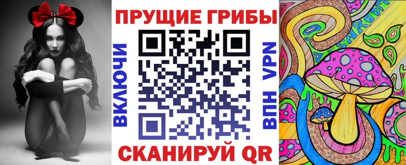 продажа наркотиков  Морозовск  Псилоцибиновые грибы Magic Shrooms 